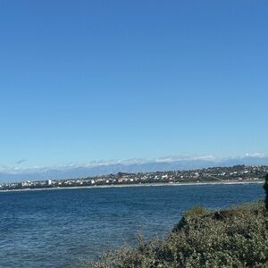 Meet your Posher, Tamar